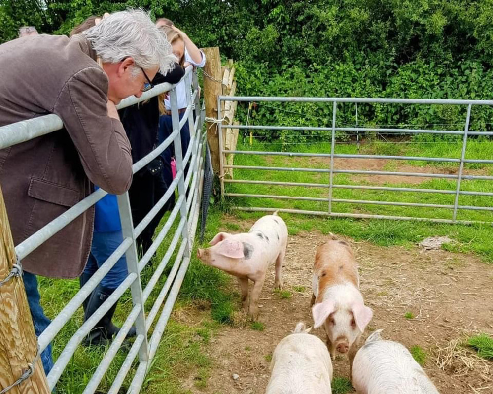 Devon Farm Visits
